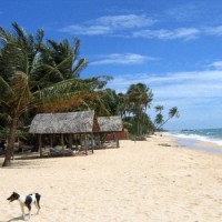 Когда Ехать во Вьетнам на Пляжный Отдых